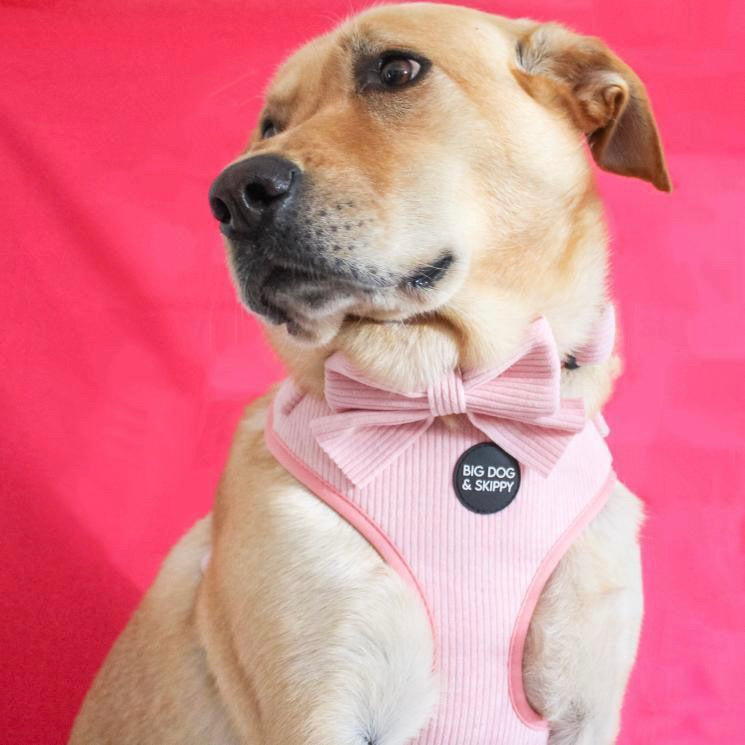 Dog Adjustable Pink Harness 