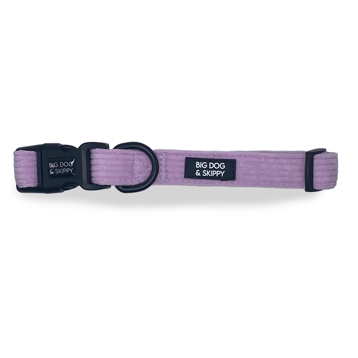 Dog Purple Collar
