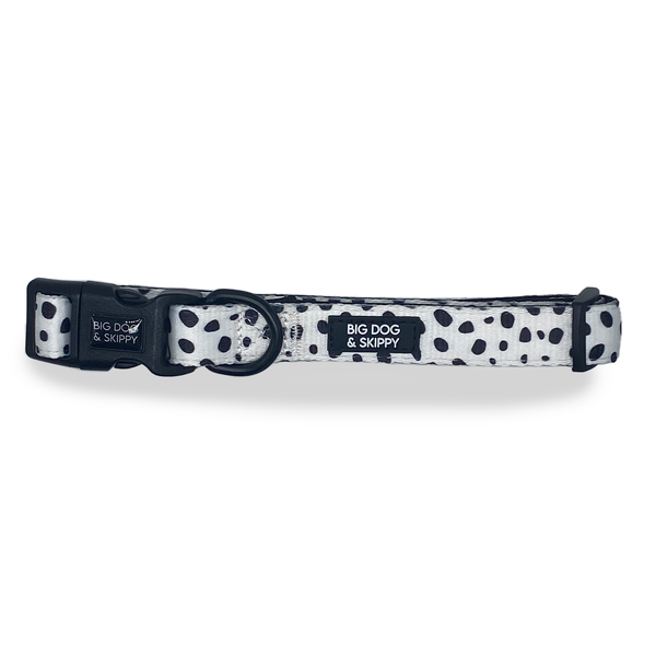 Big lots best sale dog collar