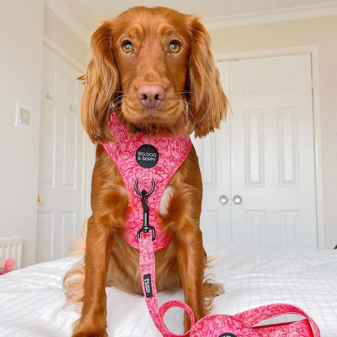 Dog Rose Printed Harness