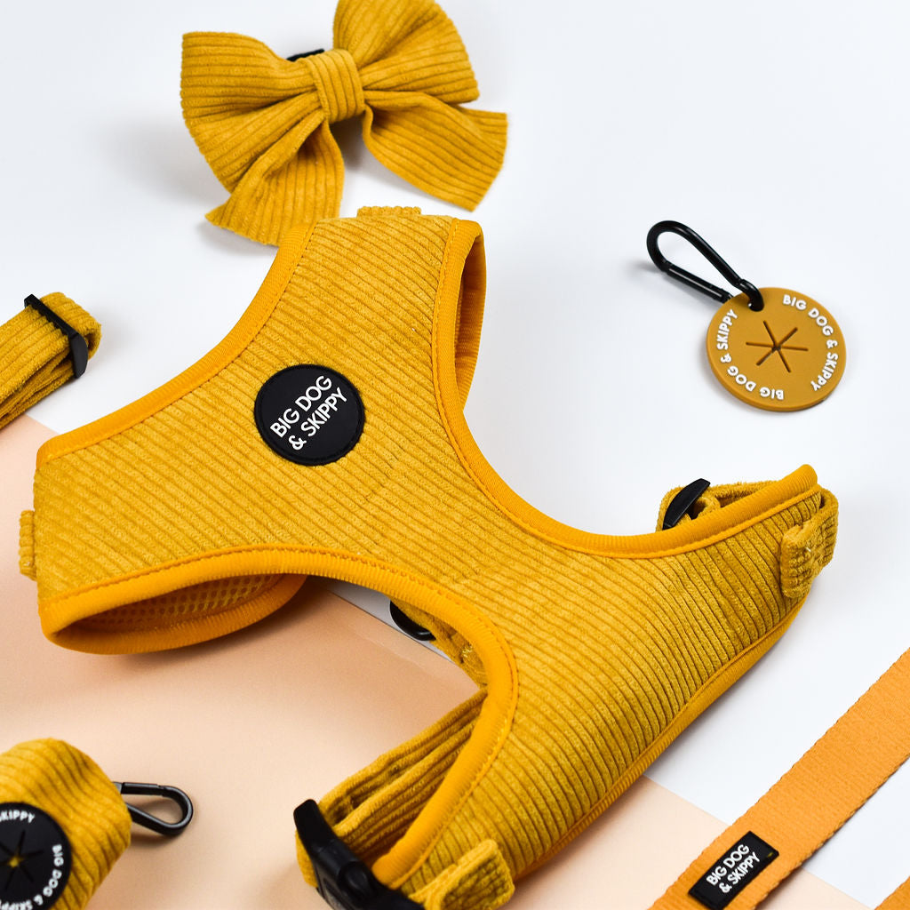 Dog Yellow Adjustable Harness 